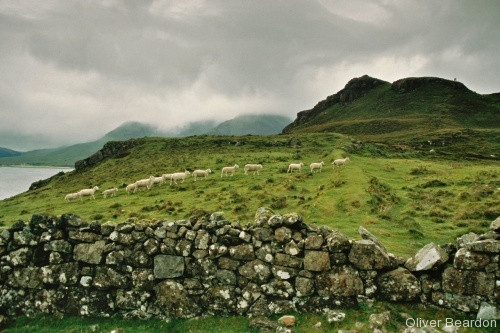 Glencoe, Rannoch Moor, and the Isle of Skye - Photo 24