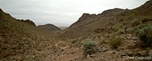 Morocco and the Desert - Photo 29