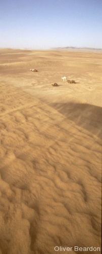 Morocco and the Desert - Photo 37